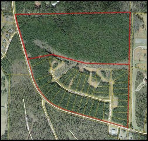 33 SFR Lots and 66.733 Acres - BANK OWNED