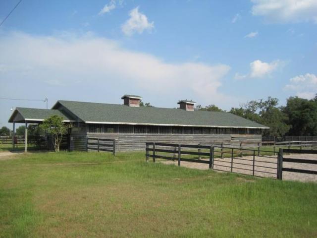South Marion Horse Farm
