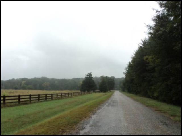 77+ acres Nunnally Shoals Rd
