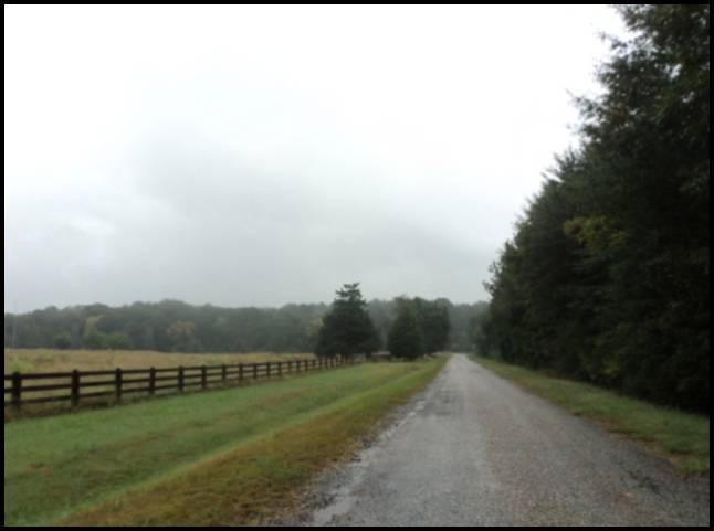 77+ acres Nunnally Shoals Rd
