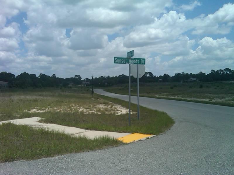 Wyndsor Place subdivision 48-1/2 ac lots