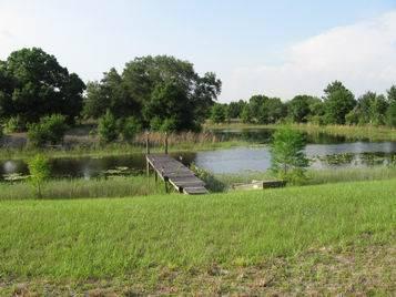 15+ Acres with Country home, lake and barns