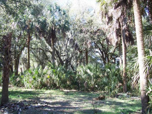 Thompson Road 10 Acres