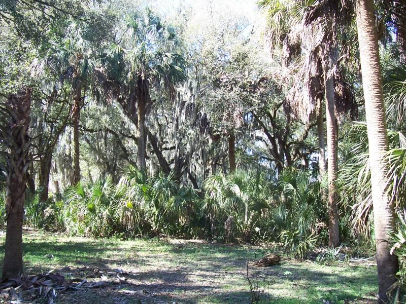 Thompson Road 10 Acres