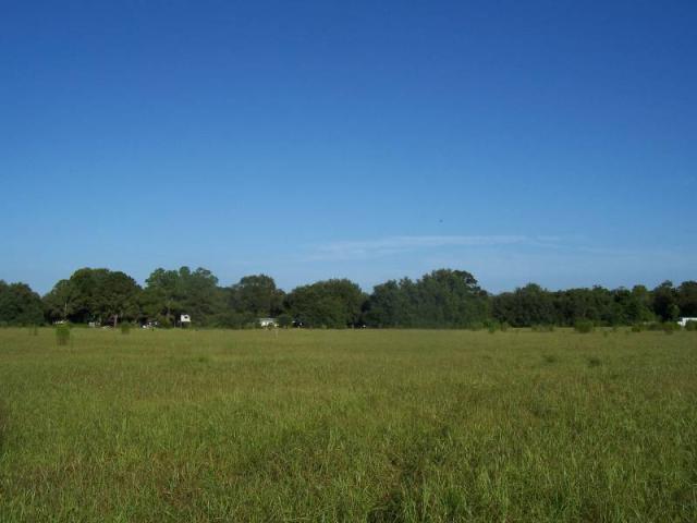 Edison Road 5 Acres
