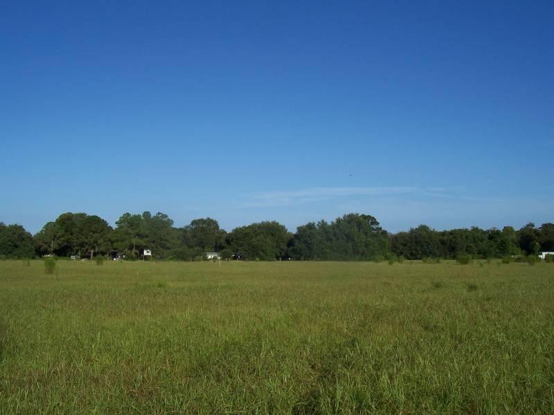 Edison Road 5 Acres