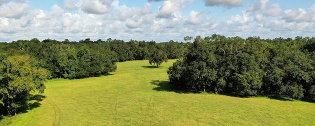 Cooks Hammock Ranch