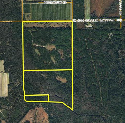 Maytown Road 270 Acres