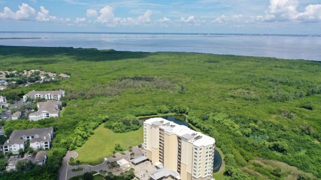 36+/- AC Residential Site