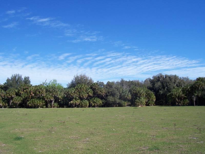 Thompson Road 5 Acres