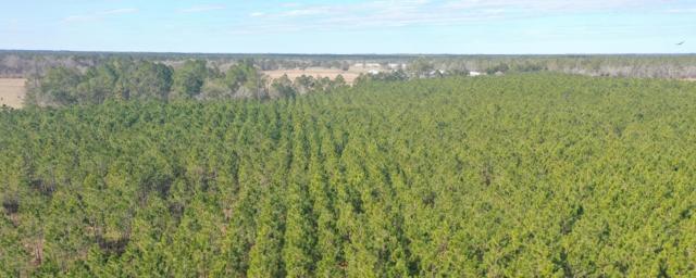 Bardin Tree Farm