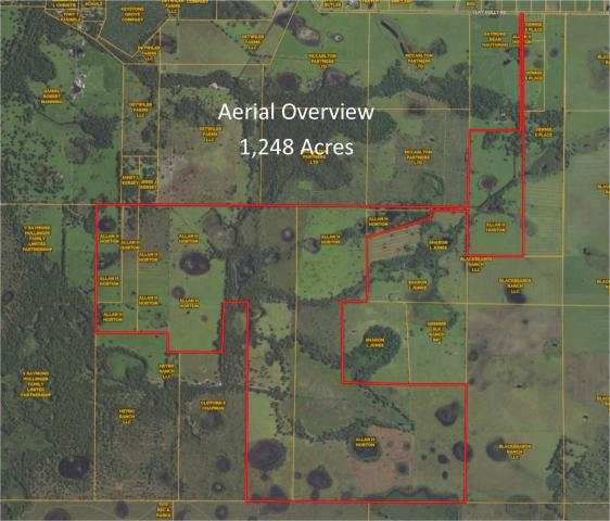 1,248 acres Myakka Valley Ranch! Florida