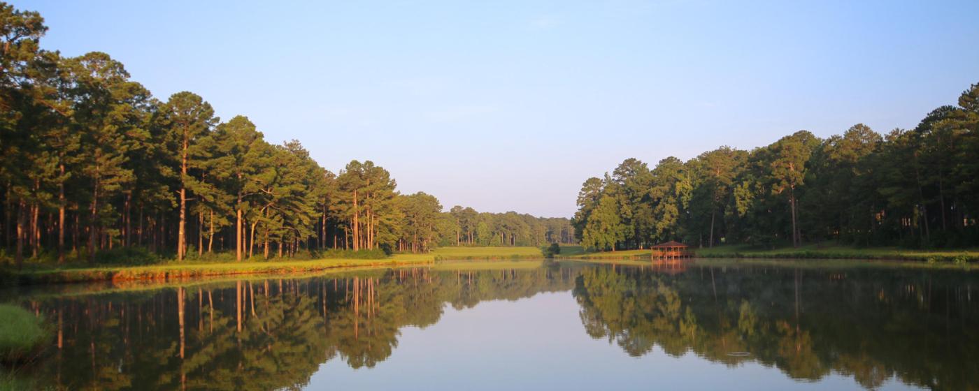 Circle N Farms