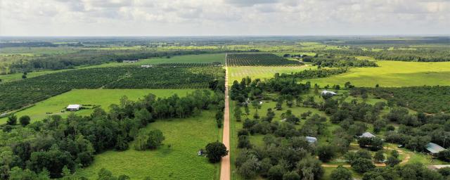 Campbell Road Farm and Homesite