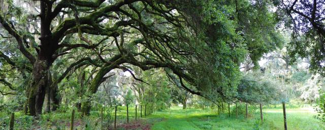 Hillsborough County Ranchette