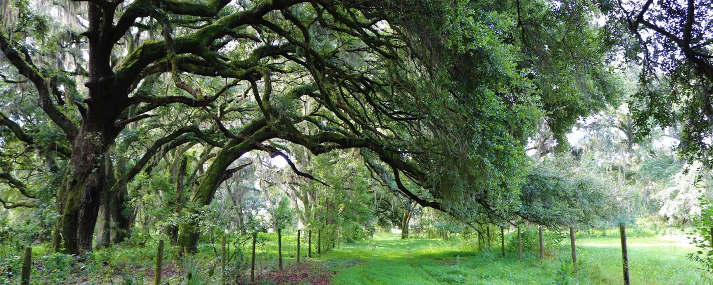Hillsborough County Ranchette