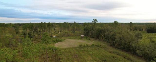 Fox Lake Woods
