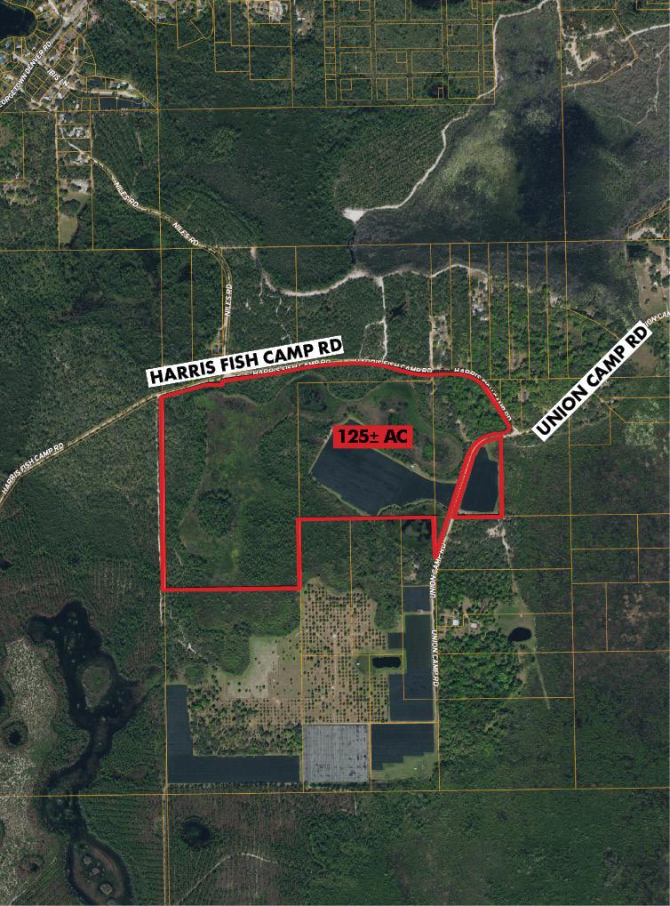 Putnam 125 acres Recreation Agricultural Land