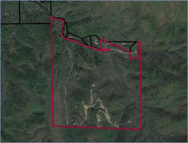 Upper Plot Town Road - 216.21 Acres