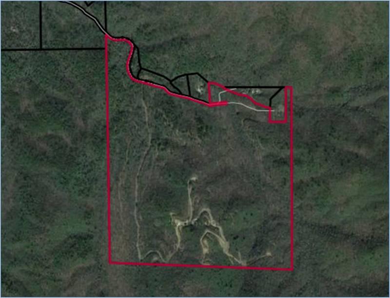 Upper Plot Town Road - 216.21 Acres
