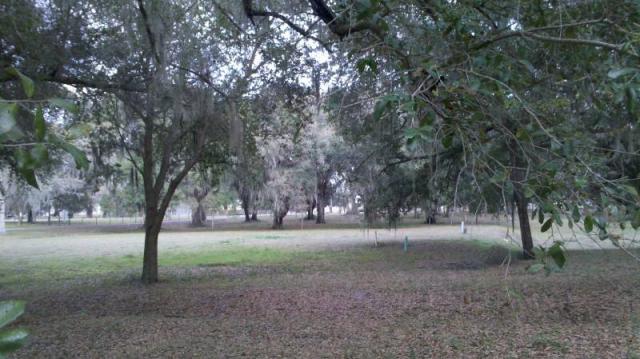 10 Lots in "The Oaks of Wildwood"