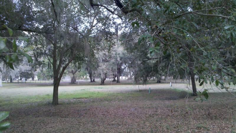 10 Lots in "The Oaks of Wildwood"