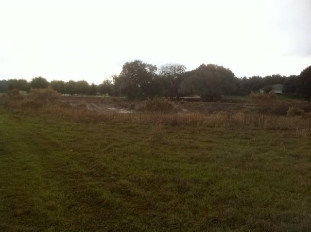 20 Acres of Paradise