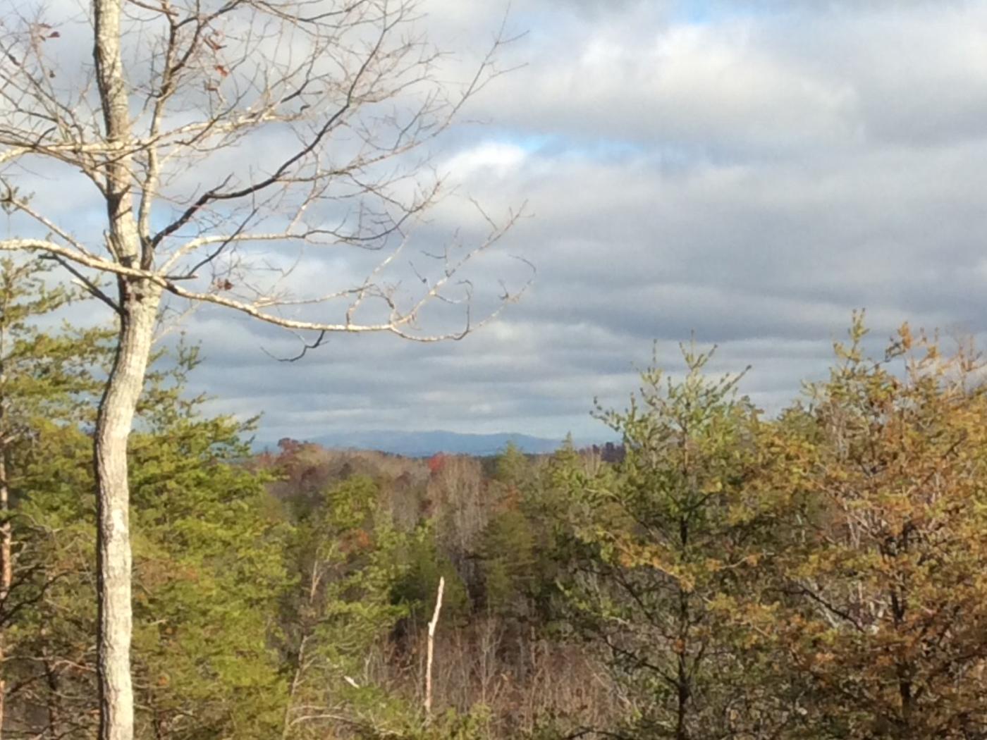 74.799 +- Acres Nally Road