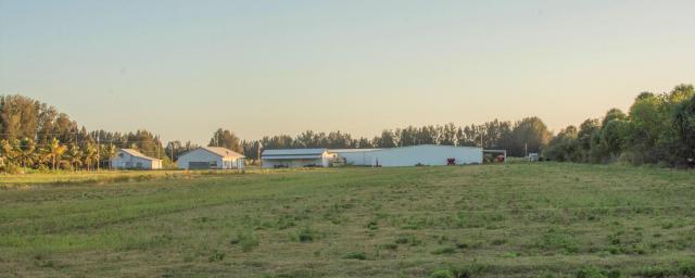 Indian River Agricultural Acreage and Warehou
