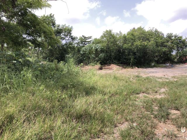 30 Acres Vacant Land Cataño FOR SALE