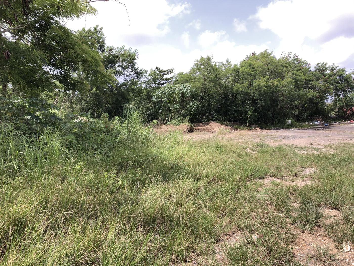 30 Acres Vacant Land Cataño FOR SALE