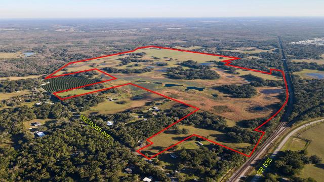 485 ac Cattle Ranch in Zephyrhills