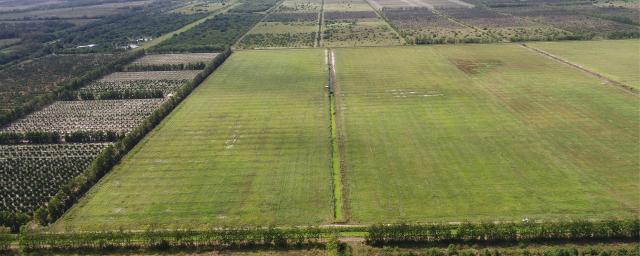 Cypress 2 Farm