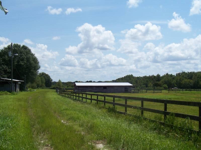 Leonard Lee Road 5.5 Acre Horse Farm