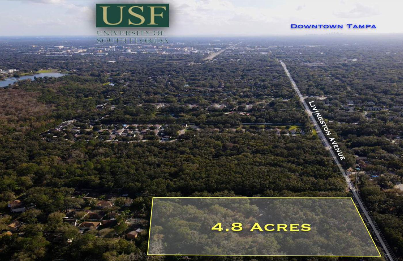 4.79 ac Zoned for Residential Dev Lutz