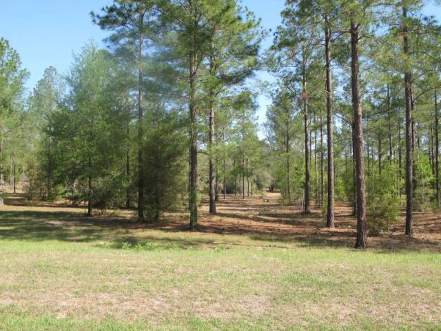 THREE ACRE BUILDING LOT