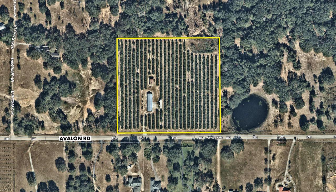 Winter Garden Producing Orange Grove 9.41 ac