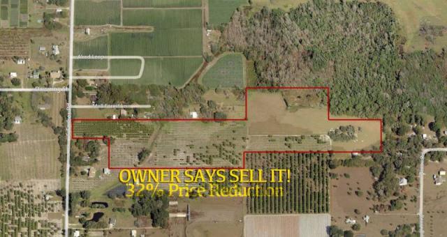 Strawberry Ad Land Price Reduced!