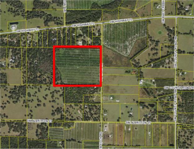 50 acre Income Producing Grove!