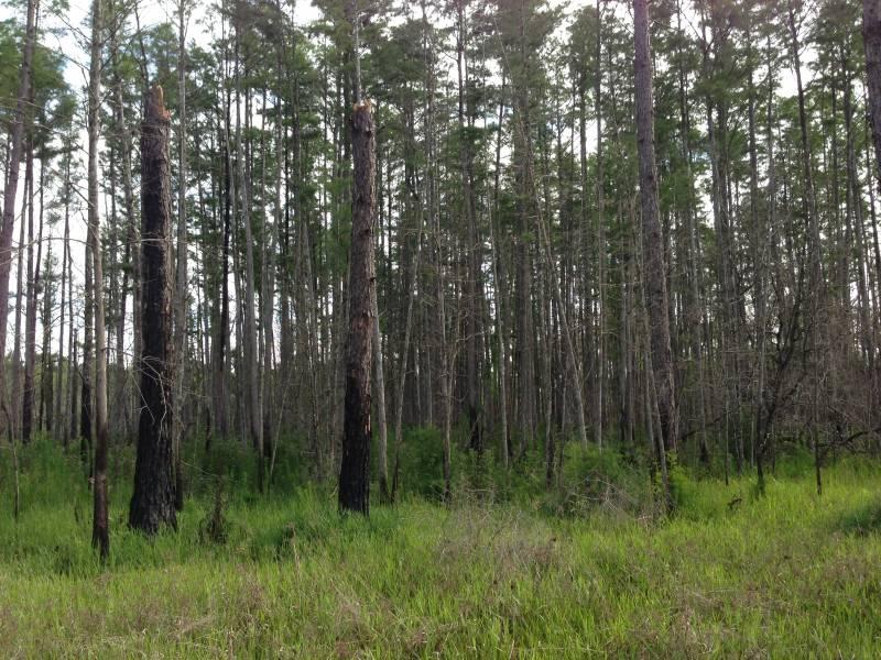 I-Drive Tourist Land For Sale