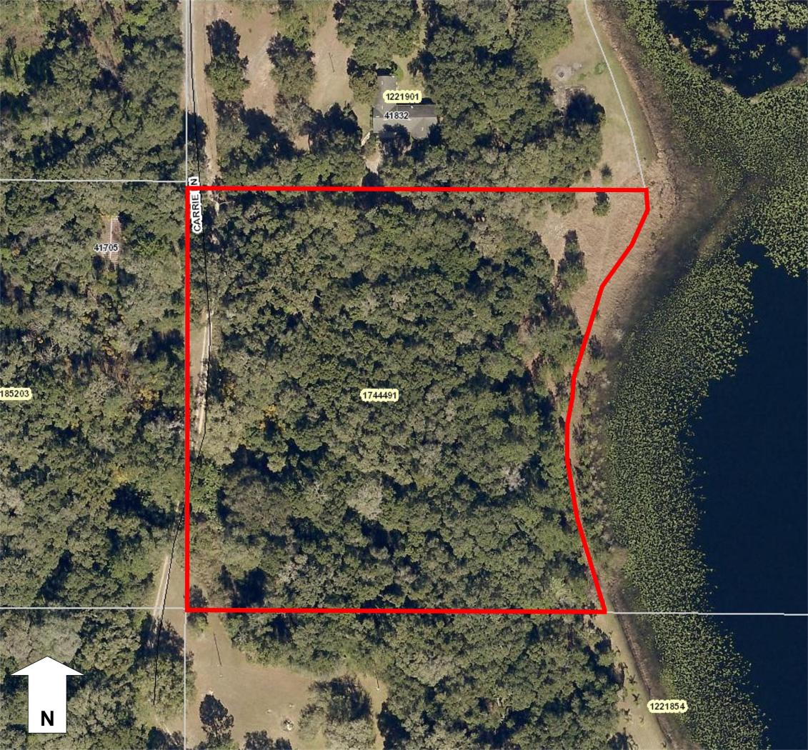 Wooded Lakefront Buildable Lot