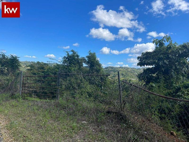 Bo. La Roca Magueyes, Solar en Corozal