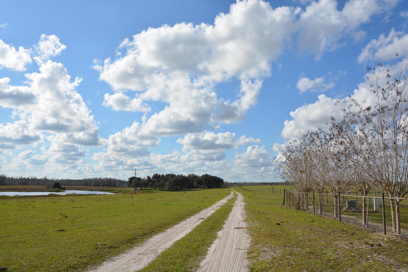 Diamond Bar Ranch