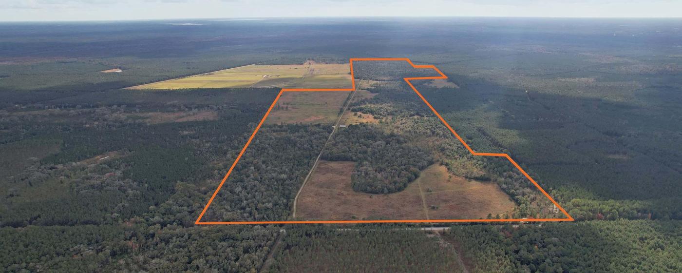 Downey Hammock Tract