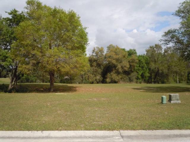Silver Lake Meadows