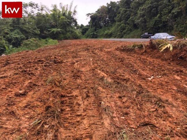 Bo. Jajome Alto, Finca en Cayey