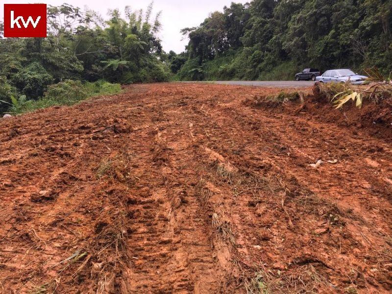 Bo. Jajome Alto, Finca en Cayey