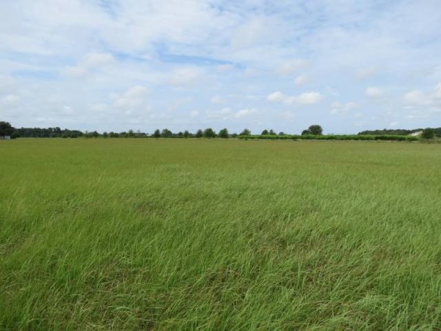 Colding Loop 5.8 Acres