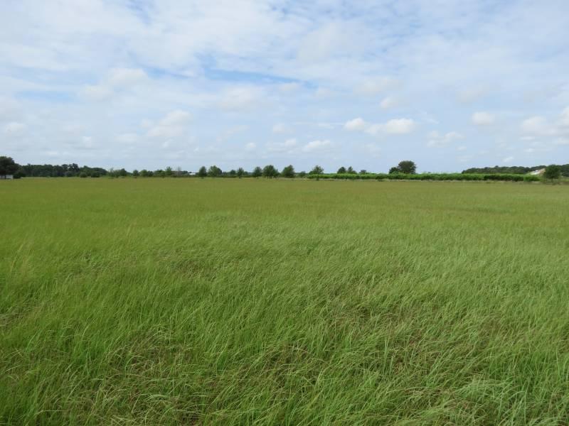 Colding Loop 5.8 Acres