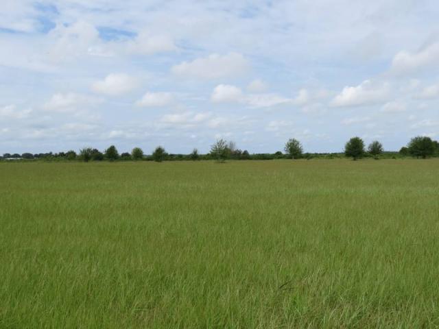 Colding Loop 5.3 Acres
